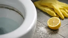 Schwarzer Rand im WC? So entfernst du Kalk und Beläge mit Zitronensäure