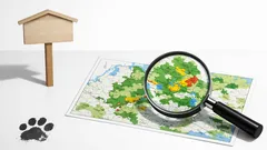 Streunerkatzen in Schutzgebieten: warum Spaniens neue Regeln den Artenschutz ausbremsen