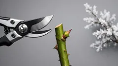 Rosen schneiden: warum der Herbst der falsche Zeitpunkt ist