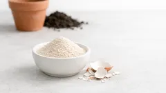 Eierschalen verwerten: 4 geniale Anwendungen für Garten, Kompost und Haushalt