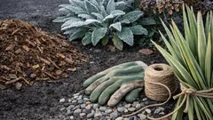 Yucca winterfest machen: so übersteht die Garten-Yucca Frost und Nässe