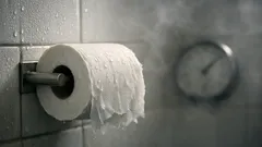 Warum Toilettenpapier im Bad klamm wird und wie du es richtig lagerst